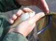 IMG-20220320-WA0011.jpg