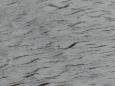 IMG-20220320-WA0012.jpg