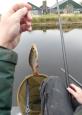 IMG-20220320-WA0006.jpg