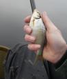 IMG-20220320-WA0004.jpg