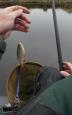 IMG-20220320-WA0003.jpg