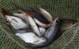 IMG-20220320-WA0000.jpg